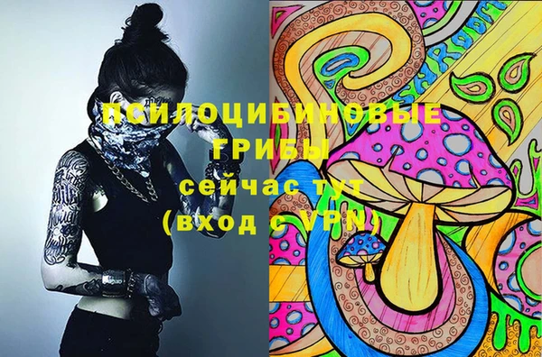 apvp Няндома