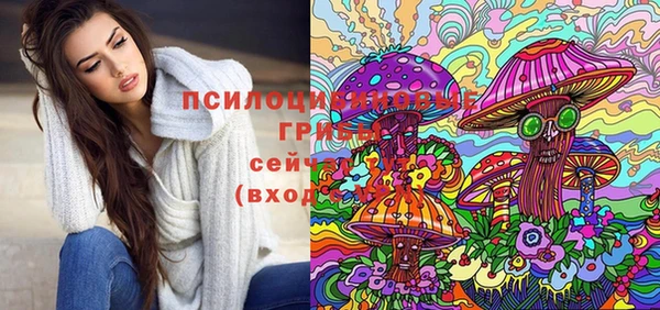 apvp Няндома