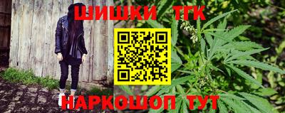 тгк Можга