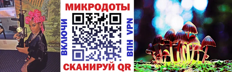 Псилоцибиновые грибы прущие грибы  Смоленск 